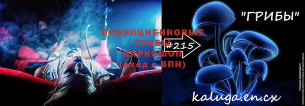 spice Арсеньев
